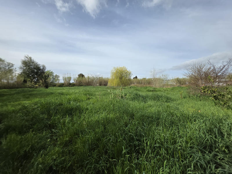 Terrain agricole - 5 006 m²