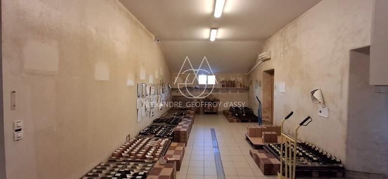 Propriété - 650 m² - 8 pièces