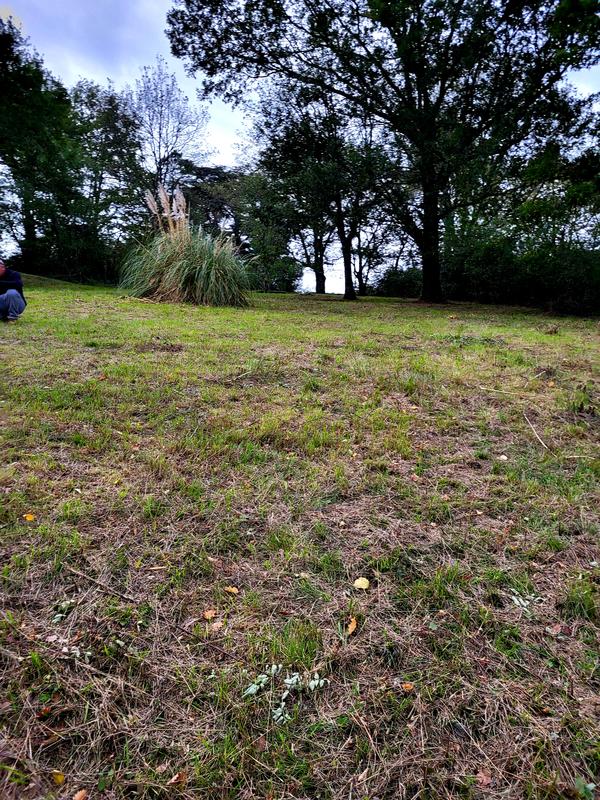 Terrain constructible - 1 435 m²