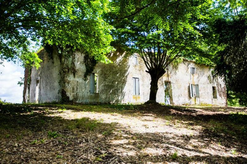 Exposition Marguerite Duras : Toute une vie j'ai écrit