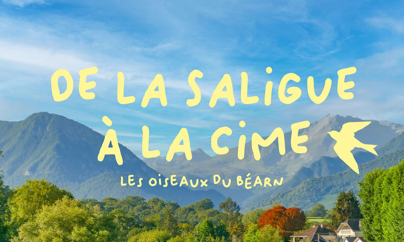 De la saligue à la cime