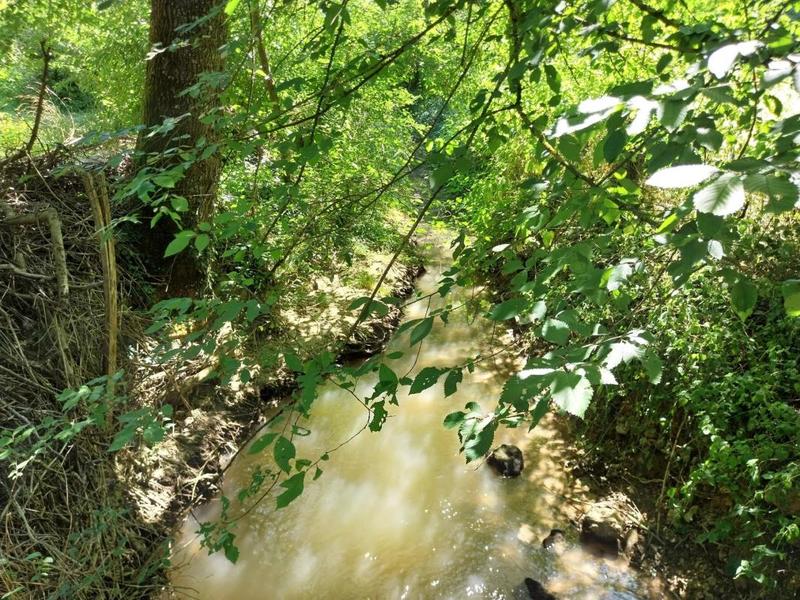 Propriété - 310 m² - 5 pièces