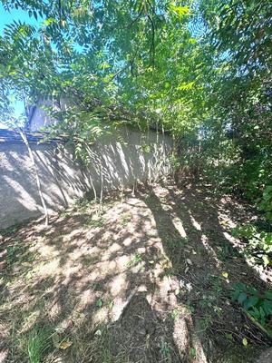 Maison - 75 m² - 1 pièce