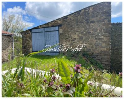 Maison ancienne - 80 m² - 4 pièces