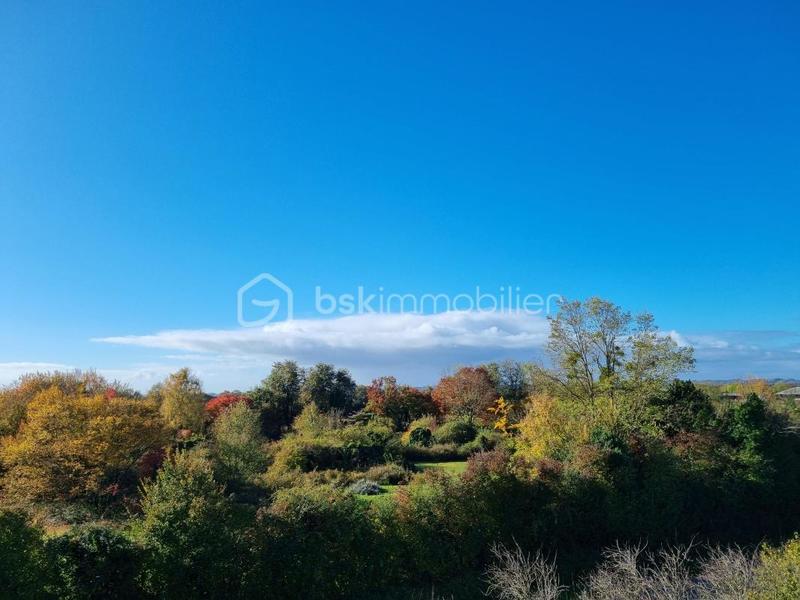 Maison en pierre - 171 m² - 6 pièces