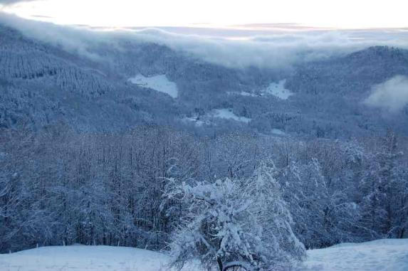 Maison - 165 m² - 5 pièces