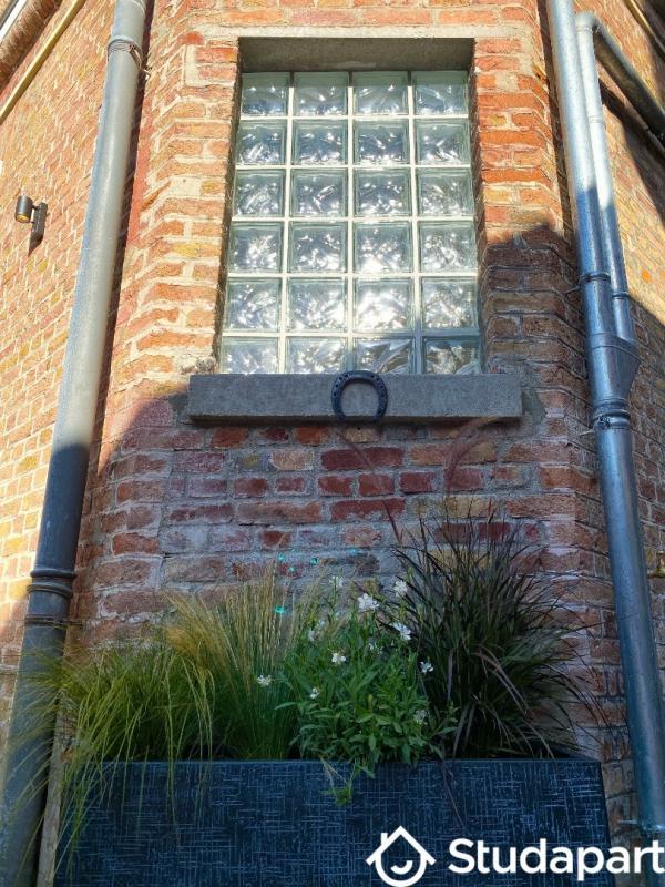 Maison - 300 m² - 1 pièce