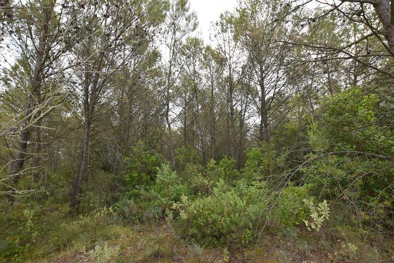 Terrain agricole - 2 005 m²