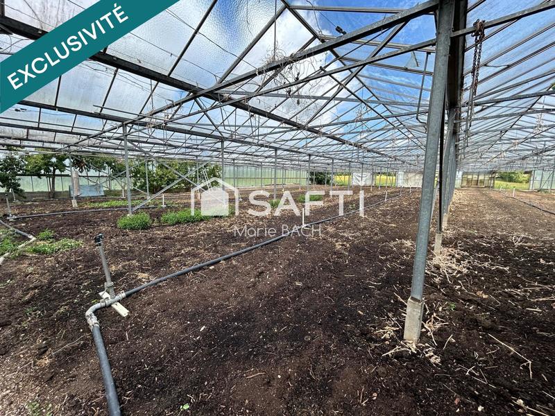 Maison - 49 m² - 2 pièces