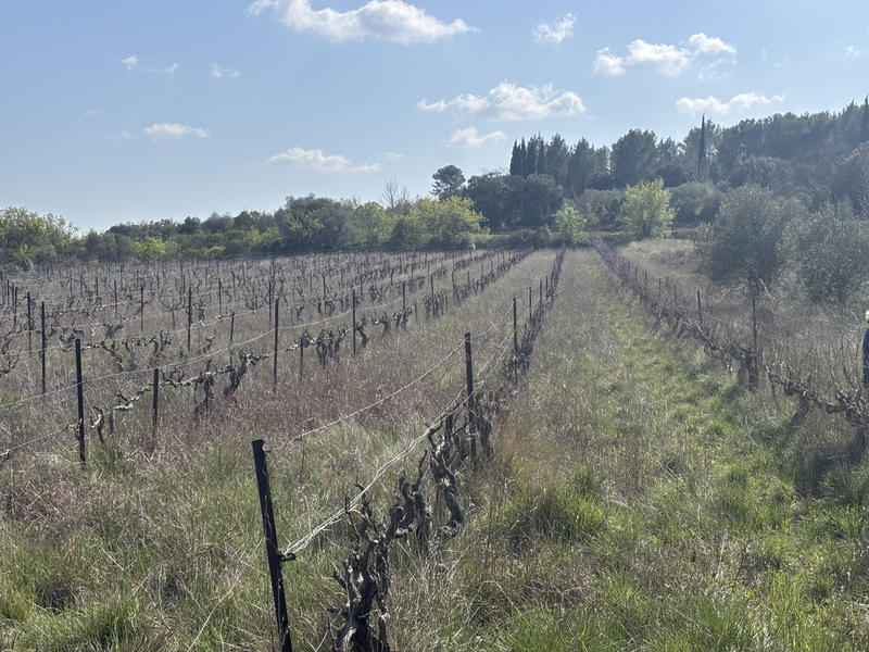 Terrain agricole - 6 590 m²