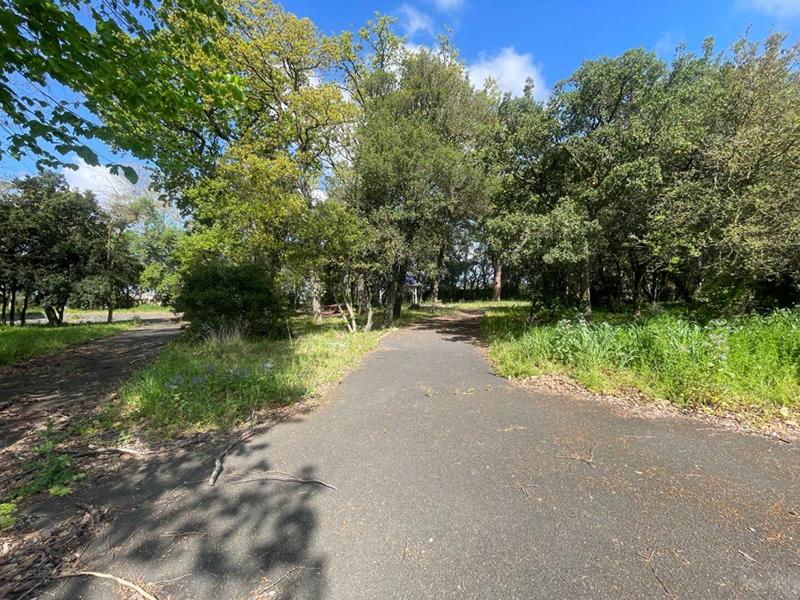 Château - 5 000 m² - 58 pièces