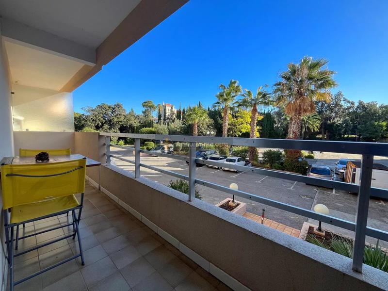 Appartement - 17 m² - 1 pièce