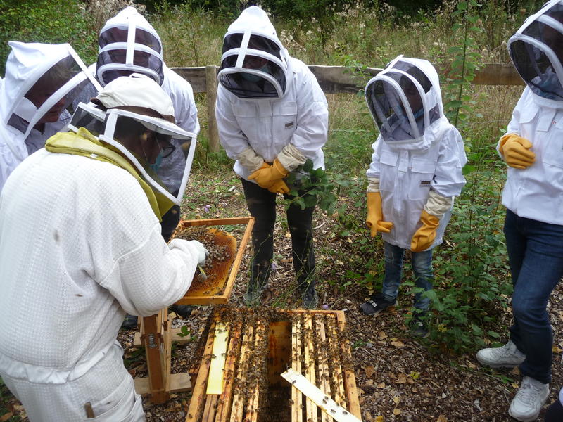 Animation nature "Happyculture"