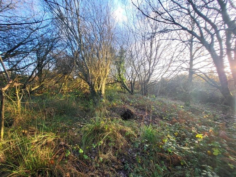 Terrain - 62 680 m²