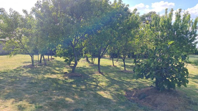 Longère - 100 m² - 3 pièces