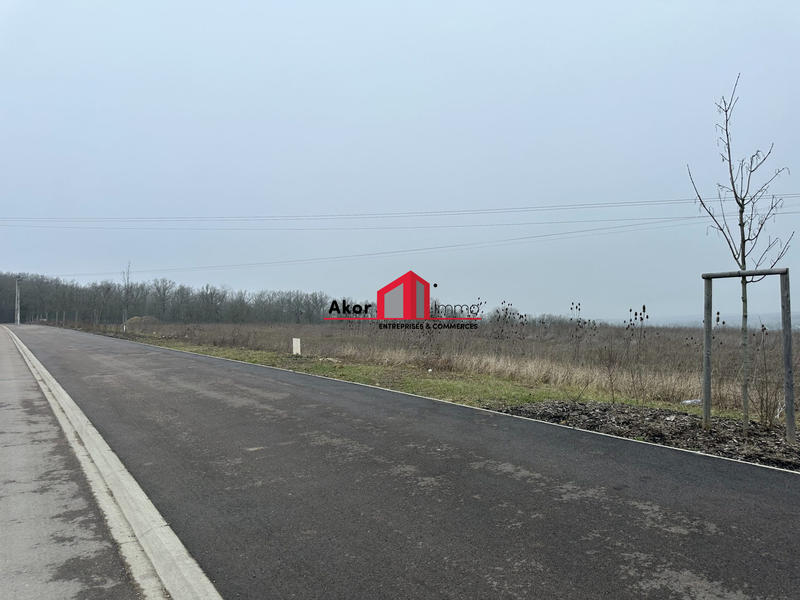 Terrain - 16 833 m²