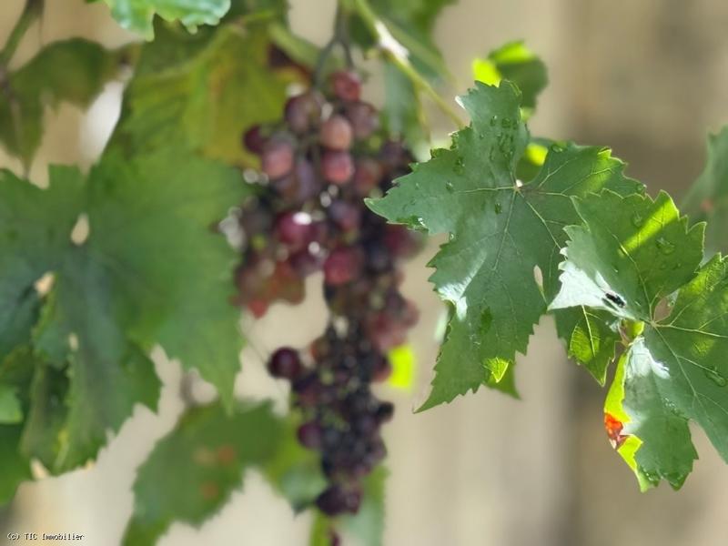 Maison de village - 90 m² - 3 pièces