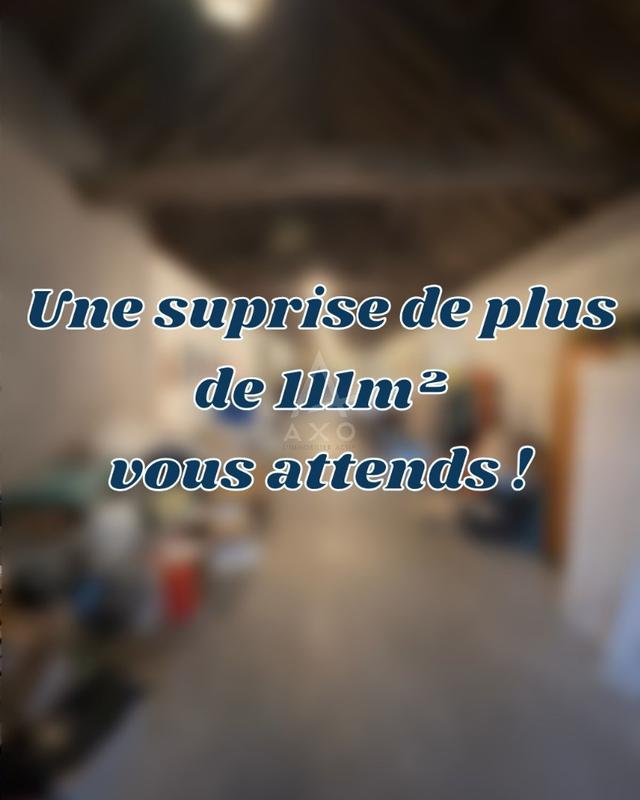 Maison - 310 m² - 12 pièces