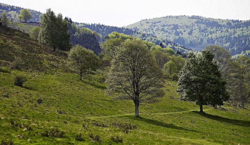 Sentiers plaisir : Autour du Chenot