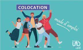 Appartement - 11 m² - 1 pièce