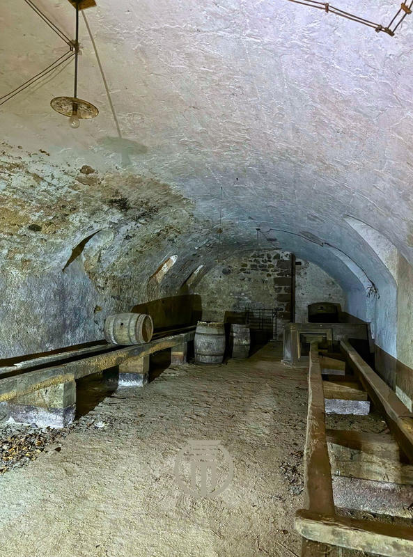 Château - 947 m² - 28 pièces