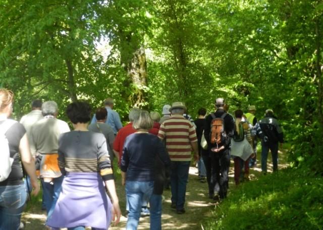 Randonnée historique W3-Quartier Général Allemand à Saint Rimay