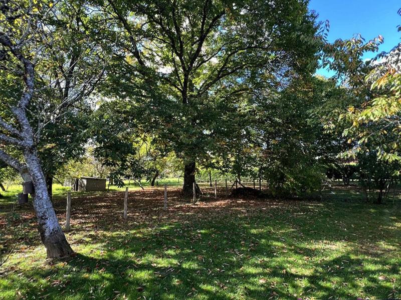 Maison - 80 m² - 5 pièces