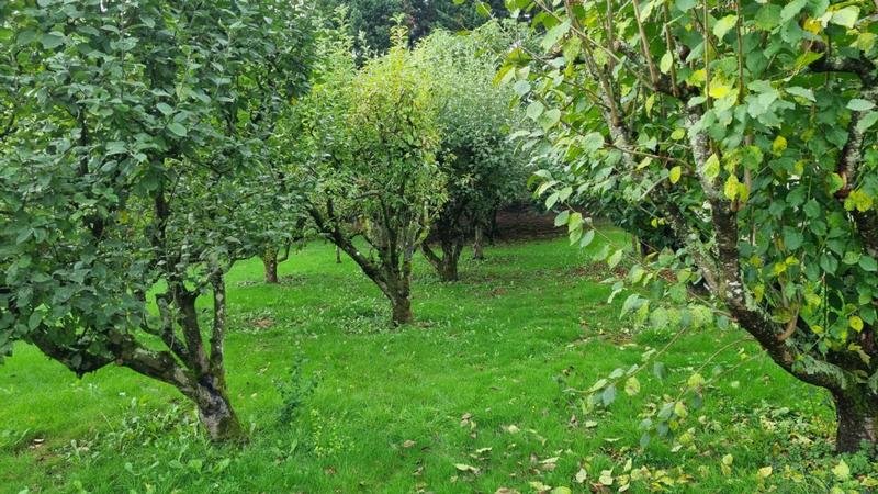 Propriété - 210 m² - 10 pièces