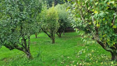 Propriété - 210 m² - 10 pièces