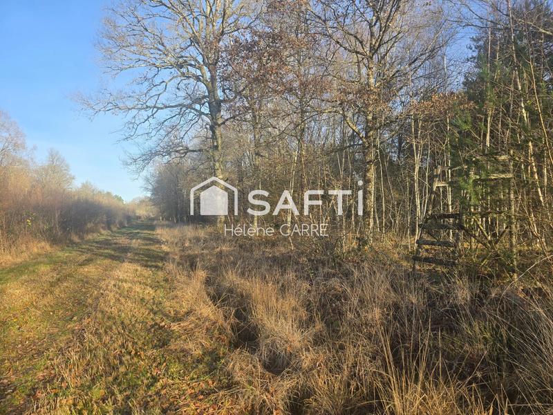 Maison - 237 m² - 11 pièces