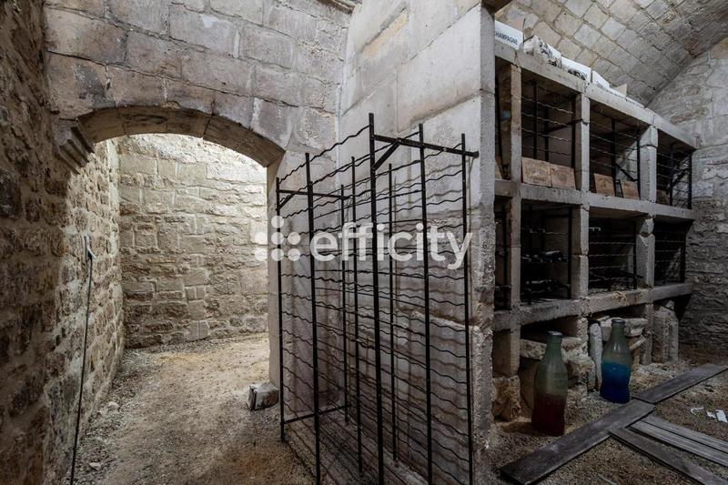 Château - 481 m² - 12 pièces