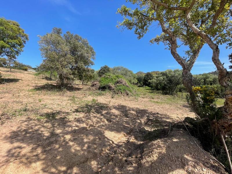 Terrain constructible - 54 817 m²