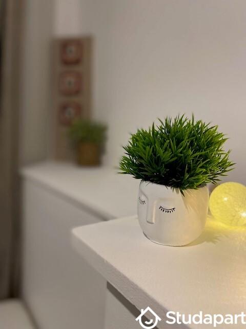 Chambre - 12 m² - 1 pièce