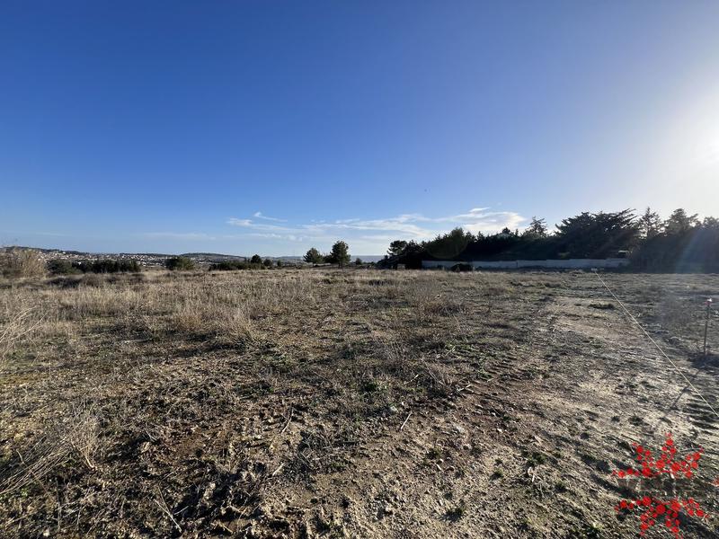 Terrain agricole - 4 175 m²