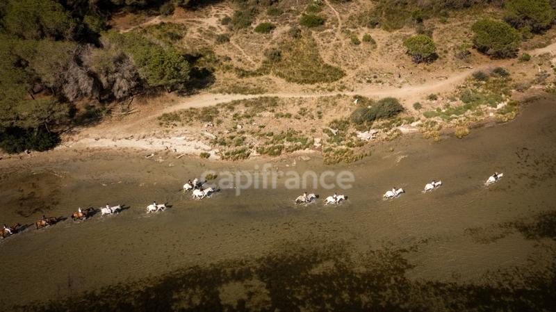 Immeuble - 2 000 m²