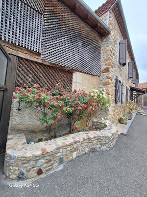 Maison - 300 m² - 11 pièces