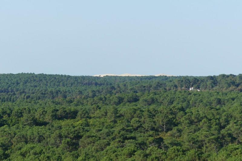 Appartement - 109 m² - 4 pièces