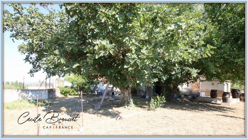 Maison bourgeoise - 270 m² - 11 pièces