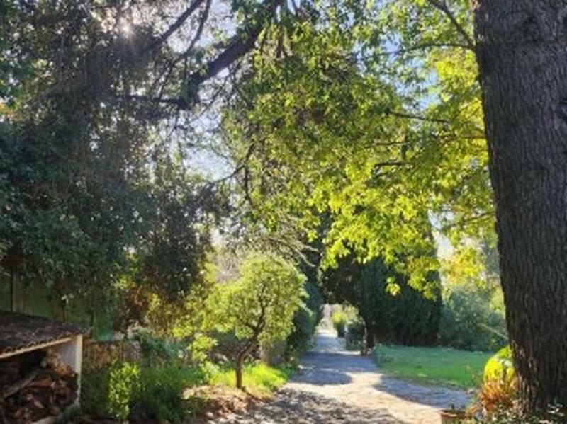 Villa - 264 m² - 6 pièces