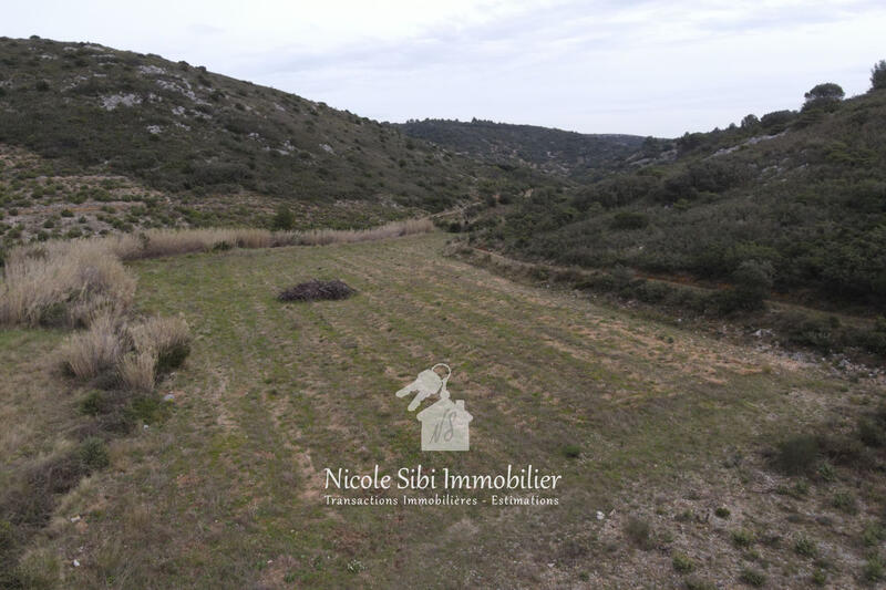 Terrain agricole - 6 860 m²