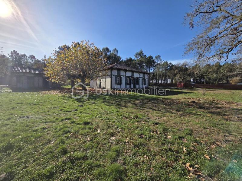 Maison ancienne - 140 m² - 5 pièces