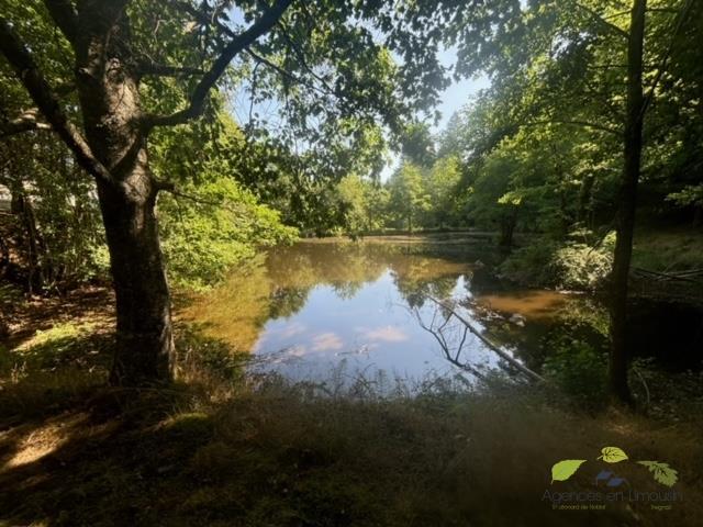 Propriété - 135 m² - 5 pièces