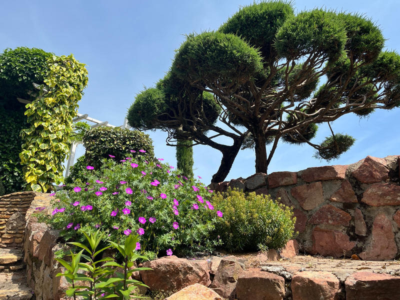 Propriété - 240 m² - 6 pièces