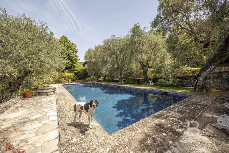 Maison - 368 m² - 10 pièces