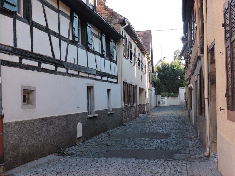 Visite commentée de Molsheim et sa Chartreuse