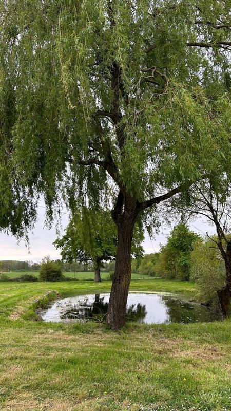 Maison - 130 m² - 4 pièces