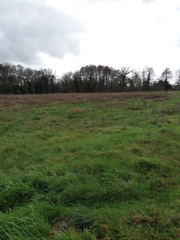 Terrain constructible - 500 m²