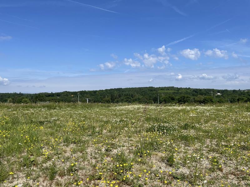 Terrain constructible - 1 267 m²