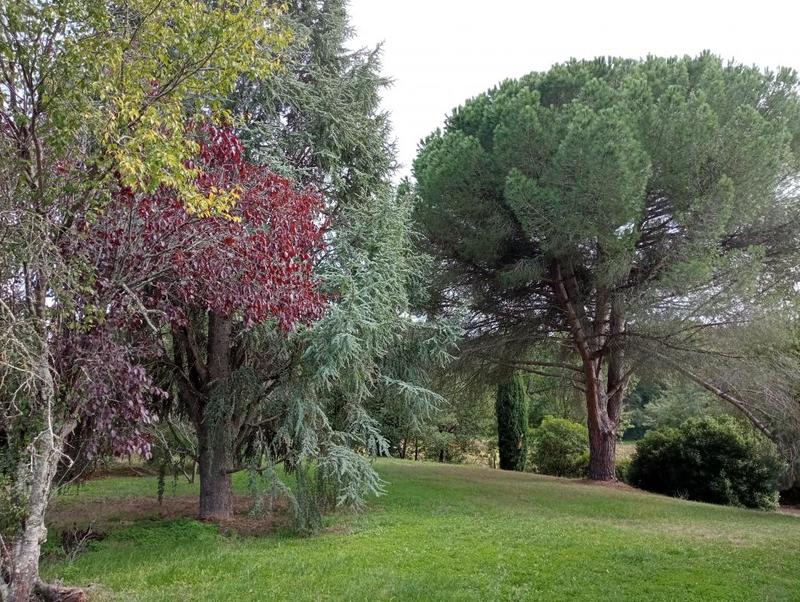 Maison de campagne - 120 m² - 4 pièces