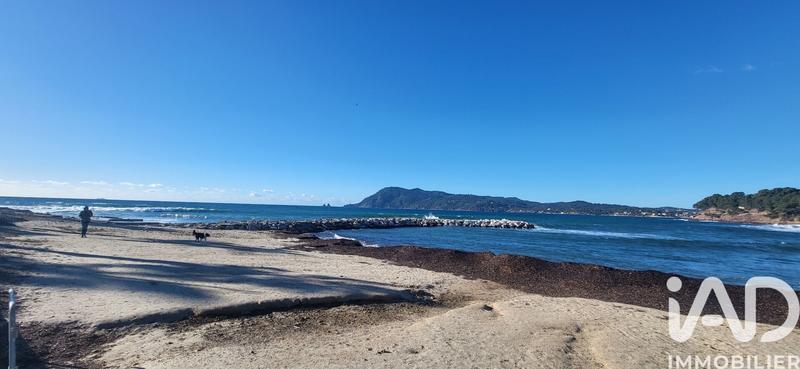 Appartement - 24 m² - 1 pièce